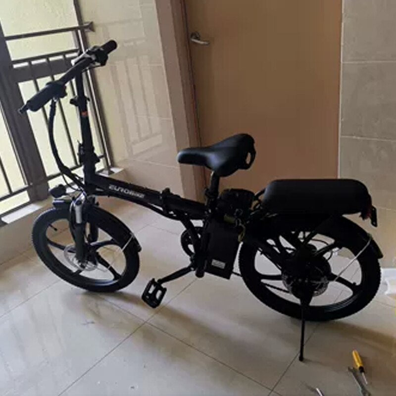 20 Inch Folding Variable Speed Electric Bicycle 48V 300w Motor Easy To Disassemble Lithium Battery Steel Frame E Bike